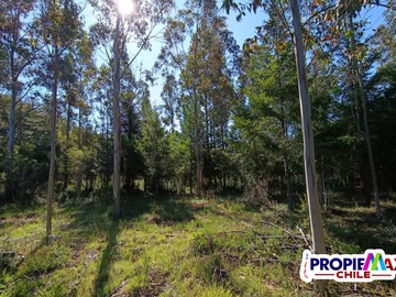 Venta / Parcela / Pucón