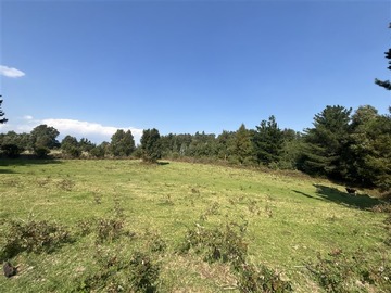 Venta / Parcela / Pucón