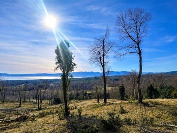 Venta / Parcela / Pucón