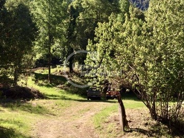 Imagen 7