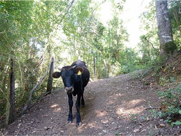 Imagen 10