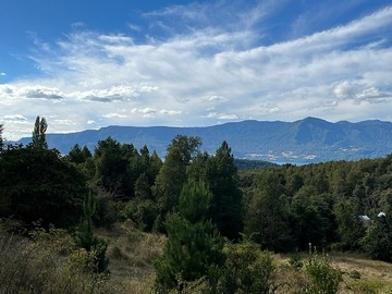 Venta / Parcela / Pucón