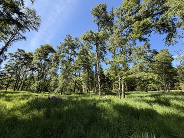 Venta / Parcela / Pucón