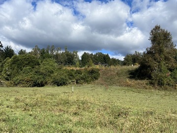 Venta / Parcela / Pucón