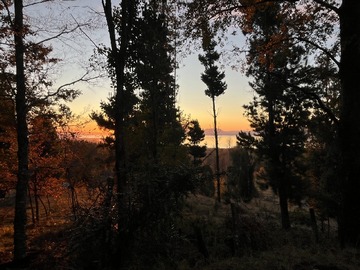 Imagen 8