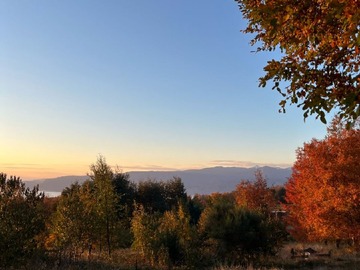 Venta / Parcela / Pucón