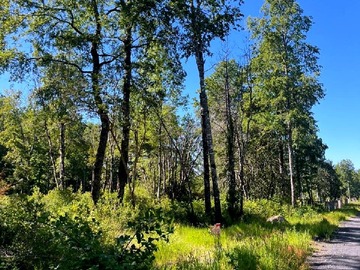 Venta / Parcela / Pucón