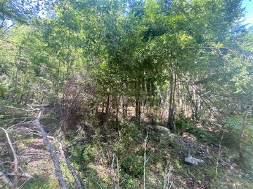 Imagen 5