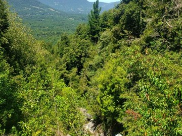 Venta / Parcela / Pucón