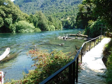 Venta / Parcela / Pucón