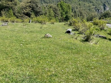 Venta / Parcela / Pucón