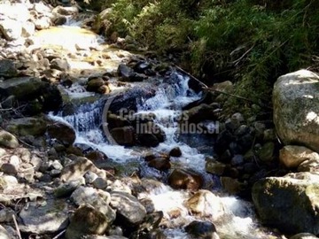 Imagen 11