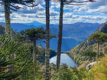 atractivos parque nacional huerquehue.