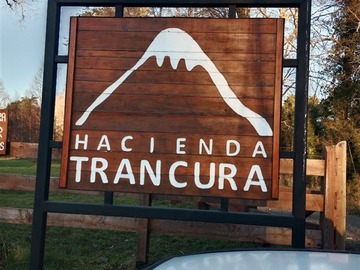 Imagen 9