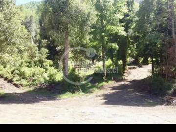 Imagen 18