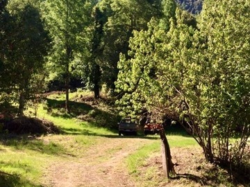 Imagen 6