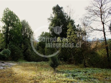 Imagen 14