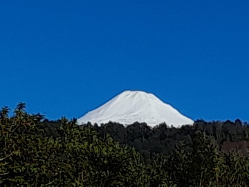 Venta / Parcela / Pucón