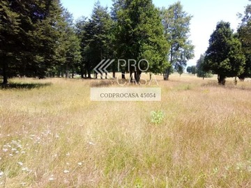 Venta / Parcela / Pucón