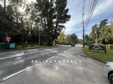 Imagen 12