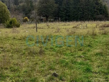 Imagen 11