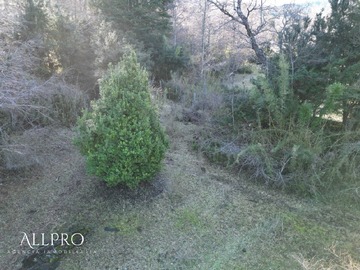 Imagen 9