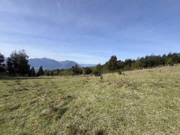 Imagen 8