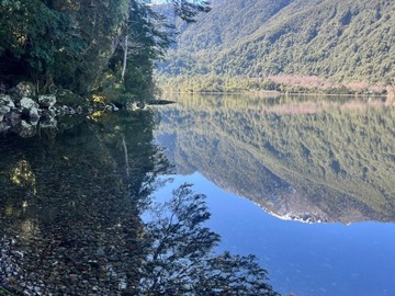 Venta / Parcela / Pucón