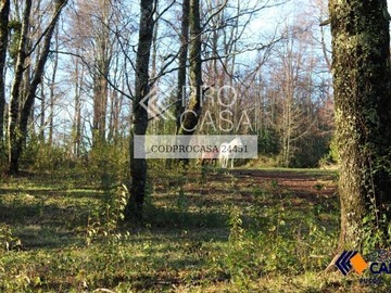 Venta / Parcela / Pucón