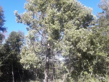 Imagen 20