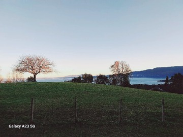 Venta / Parcela / Pucón