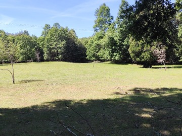 Venta / Parcela / Pucón