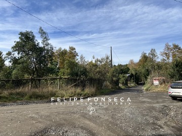 Imagen 8