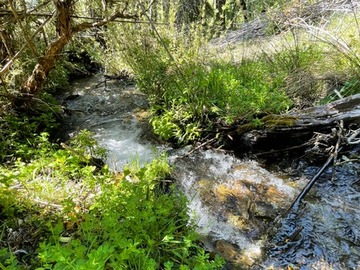 Estero lateral