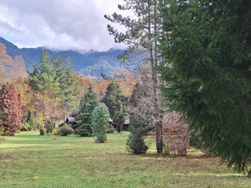 Parque entre la casa y cabaña