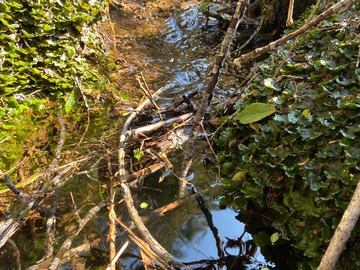 estero que cruza parte del oeste de la parcela
