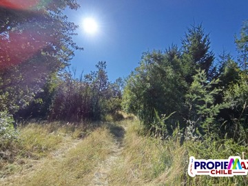 Venta / Parcela / Pucón