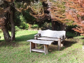 Parque