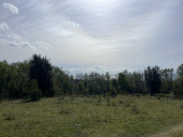 Imagen 6