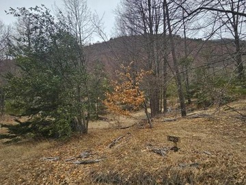 Venta / Parcela / Pucón