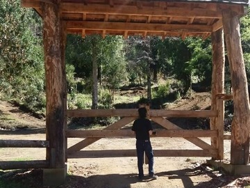 Imagen 13
