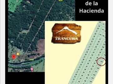 Imagen 15