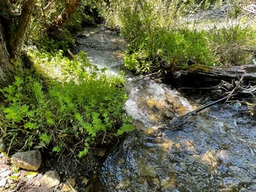 Estero 2