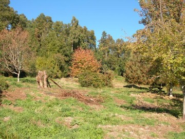 Venta / Parcela / Pucón