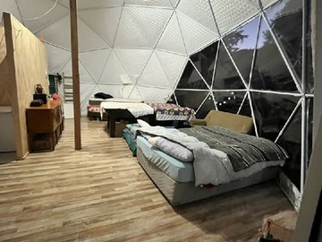 Imagen 7