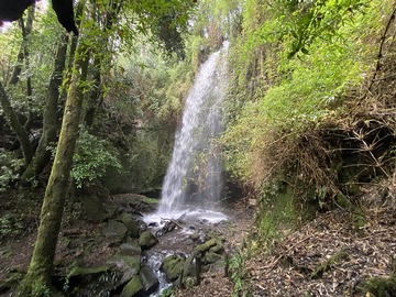 Venta / Parcela / Pucón