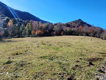 Venta / Parcela / Pucón