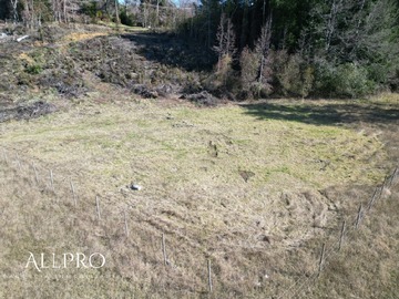 Imagen 9