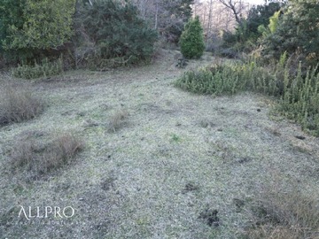 Imagen 14