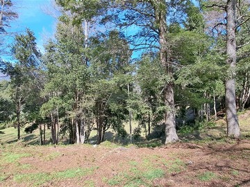 Imagen 14